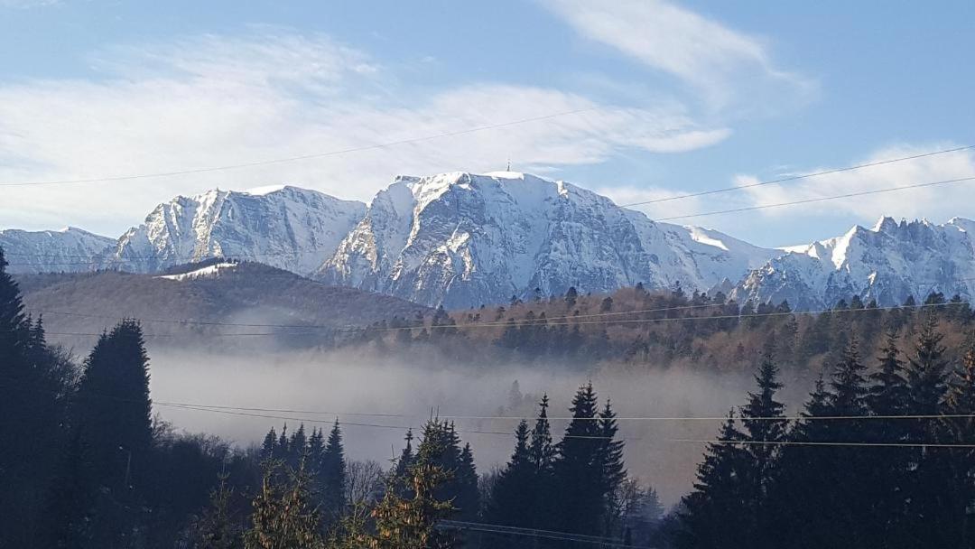 Treasure Mountain Predeal Bagian luar foto